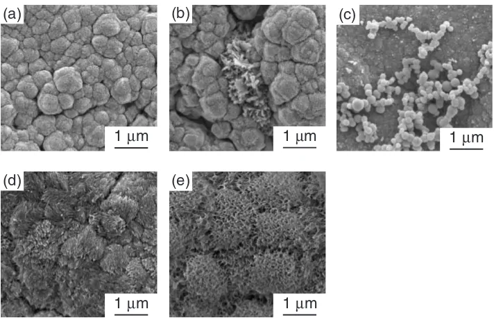 Fig. 7Surface morphology of HAp coatings prepared at Tsub ¼ 1073 K after immersion in a Hanks’ solution