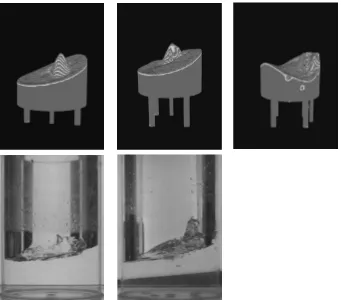 Fig. 4Comparison of the 3D views of the jet-induced rotary sloshing between (top) the computations and (bottom) the photographs forQL ¼ 260 (cm3/s) and HL=D ¼ 0:5