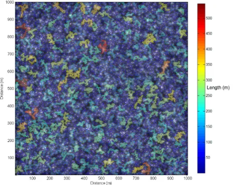 Fig. 1c, d. Histogram and log-log histogram of the lengthsof the edge contours obtained from the gravity response from10 000 sources at a depth of 5 m