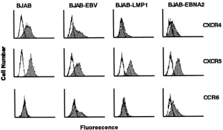 FIG. 5. Flow cytometric analysis for expression of various chemo-kine receptors on BJAB and its sublines