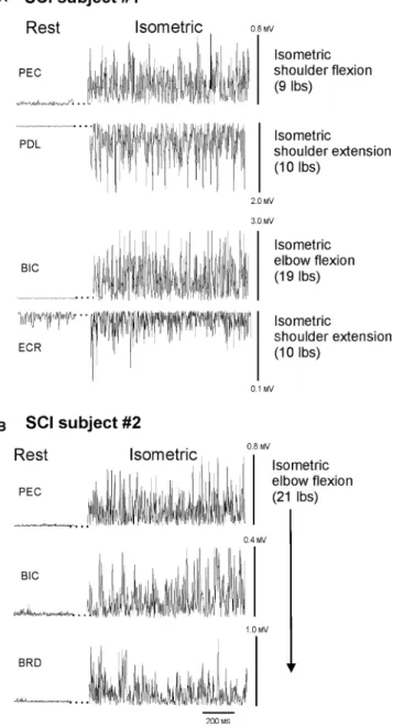 Figure 2 includes data for two subjects whose data were used in later ﬁgures of arm movement; nonetheless, the data in Fig
