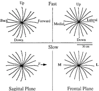 Figure  4  summarizes  the  main  results  of this  study  using  the  full  set of 20  phasic  E M G   traces  from the medial  del-  toid  of  subject  B,  for  hand  paths  in  the  frontal  plane
