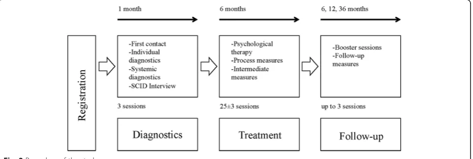 Fig. 2 Procedure of the study
