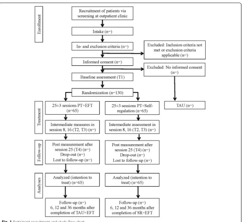 Fig. 1 Participant recruitment and study flow chart