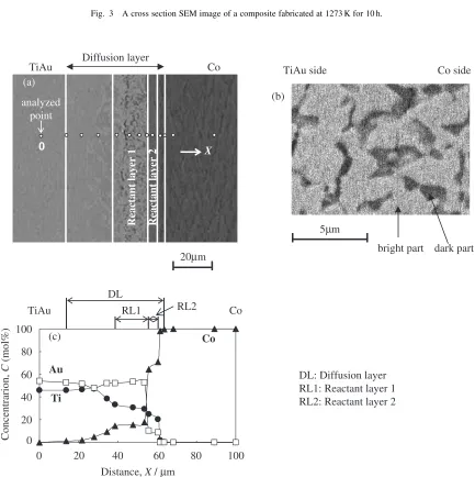 Fig. 3A cross section SEM image of a composite fabricated at 1273 K for 10 h.