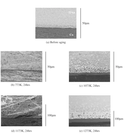 Table 2The change of thickness of diﬀusion layer by the aging treatments.It is noted that hot pressing was made at 1173 K for 10 h.