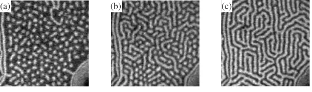 Fig. 1Self-assembly of Pb on Cu(111). The average concentration increases from (a) to (c)