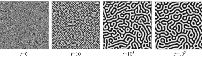 Fig. 2Evolution of self-assembly patterns with average concentration 0.5.