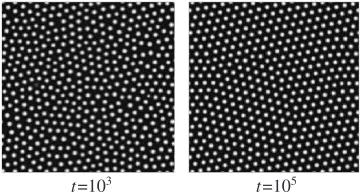 Fig. 4Evolution of self-assembly patterns with average concentration