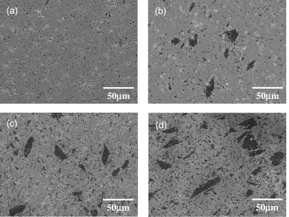 Fig. 1Microstructures of sintered B added WSi2. (a) 0.5 mass%B, (b) 1.0 mass%B, (c) 2.0 mass%B, and (d) 3.0 mass%B.
