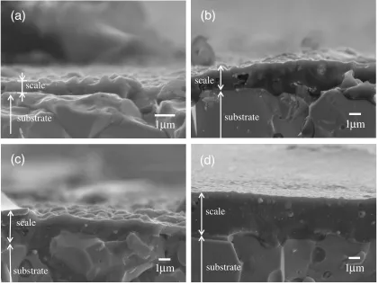 Fig. 6Change of the thickness of scales formed on B added WSi2 withtemperature for 180 ks oxidation in air.