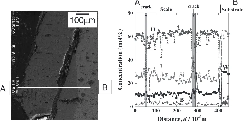 Fig. 7Cross-sectional microstructure and concentration proﬁles of 1.0 mass%B added WSi2, after oxidation at 1073 K for 360 ks in air.