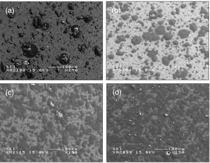Fig. 9Cross-sectional micrograph of scale formed on 0.5 mass%B addedWSi2 by oxidation at 1473 K for 180 ks in air.