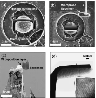 Fig. 2SEM micrographs of the microcylinder (a) undeformed; (b) deformed to 70 mN/s and imposed strain of 0.4
