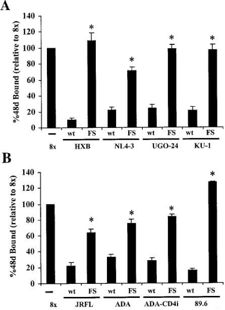 FIG. 2. Introduction of the FS mutation leads to enhanced 17bbinding. 293T cells were infected with recombinant vaccinia virus