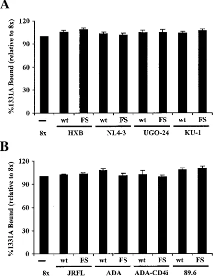 FIG. 5. FS-containing envelopes have surface expression levelscomparable to those of full-length envelopes