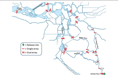 Fig. 9 Screen capture from Program Branch. Graphic user interface (GUI) from Program Branch for the multistate model of movements of Chinook salmon smolts through the Sacramento–San Joaquin River Delta, California, 2011