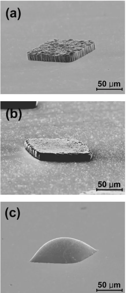 Fig. 3SE images showing 3 types Sn bumps, (a) electroplated Sn bump,(b) coined Sn bump, and (c) reﬂowed Sn bump.