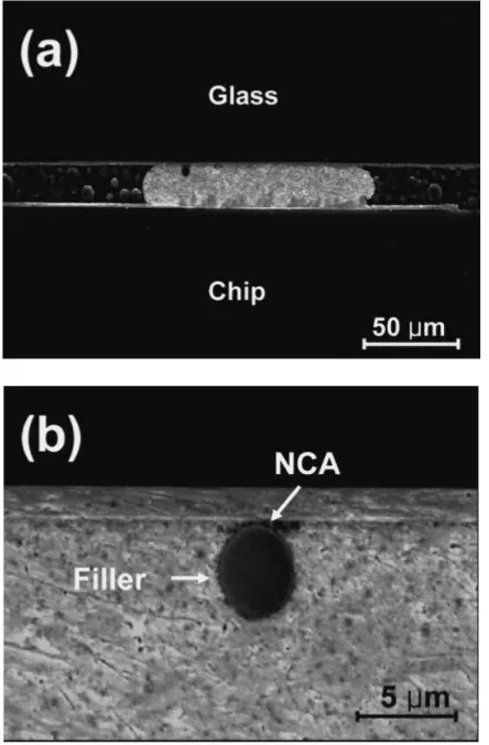 Fig. 11Average quantity analysis of % NCA and ﬁllers trapped betweenthe chip and glass substrate according to diﬀerent types of Sn bumps.