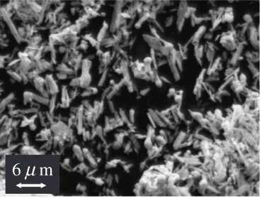 Fig. 1SEM image of lead particles.
