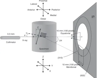 Fig. 3Schematic drawing of experimental conditions: X-ray optics system, deﬁnition of each axis, and focused area on imaging plate asa diﬀraction detector.