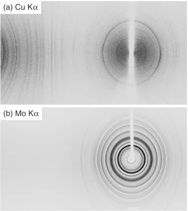 Fig. 6Distribution of degree of X-ray transmissivity as a function of bone position to normalized whole bone width at Mo K� X-rayradiation: (a) lateral to medial direction, (b) anterior to posterior direction.