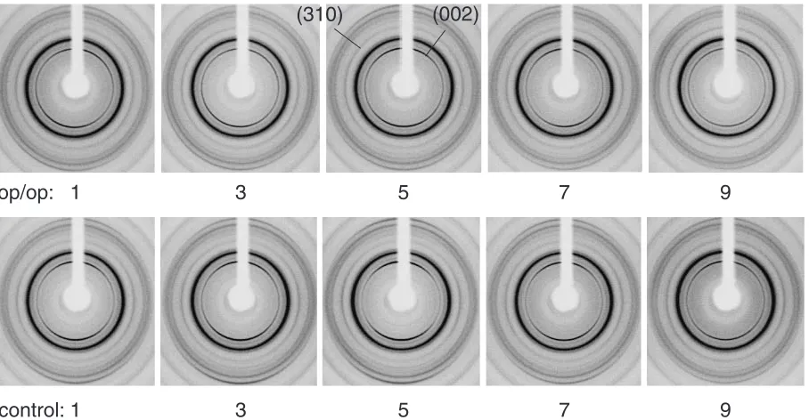 Fig. 7Typical X-ray diﬀraction pattern of bone specimen taken by Mo K� X-ray radiation