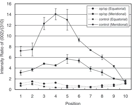 Fig. 9Distribution of (002)/(310) integrated intensity ratio along longi-tudinal direction in op/op and control mice