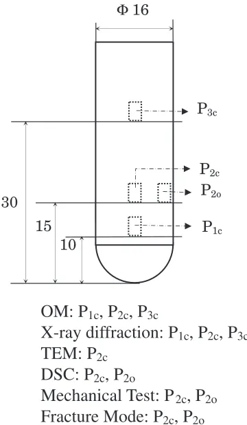 Figure 1 shows outer shape and surface morphology of a