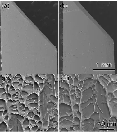Fig. 9Fracture surface morphology of the alloy specimens subjected to ﬁnal fracture under a uniaxial compressive load