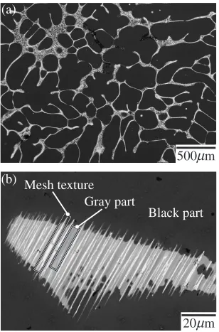 Fig. 3BEIs observed by EPMA for the sample after isothermal heat treatment at 873 K. (b) Magniﬁed image of (a).