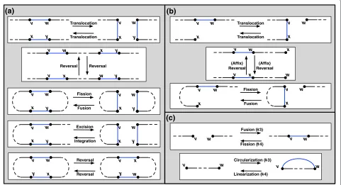 Figure 2 The Collection of All Possible DCJ Operations. The DCJ incorporates many operations, depending on the structure of the