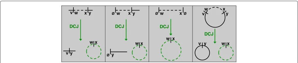 Figure 3 Encoding the Deletion of a Chromosomal Interval as a DCJ.encoded by a DCJ that turns the interval connecting The deletion of a chromosomal interval connecting w to x can be w to x into a circular chromosome
