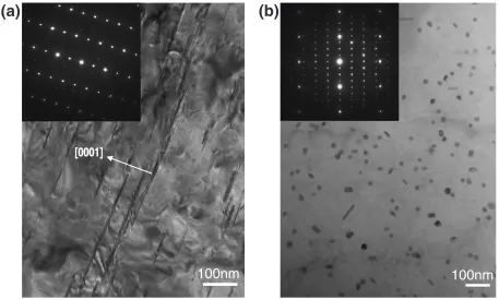 Fig. 11Bight ﬁeld images obtained from as-crept at 200�C: (a) T5 under 40 MPa loading