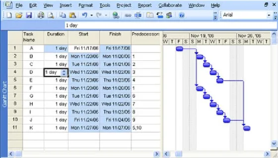 Figure 2.5: Microsoft Project Screendump