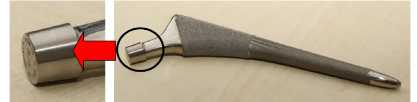 Figure 12. Total hip replacement femoral stem with highlighted micro-threaded taper surface