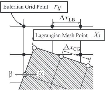 Fig. 5). Then f�ðXl; tÞ is computed from f� at the ﬂuid gridpoints by using the Lagrangian interpolation