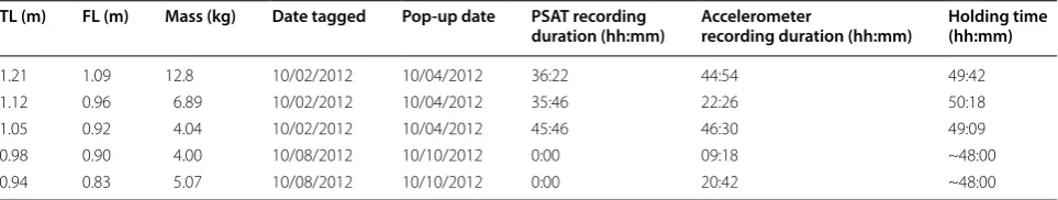 Table 1 Summary data associated with shortnose sturgeons that were caught and tagged in the Kennebecasis River, New Brunswick, with PSATs and accelerometers in October 2012
