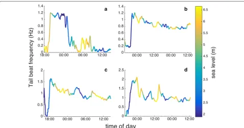 Fig. 6 Time series of dominant tail beat frequency (TBF, Hz) as a function of sea level (m) for four sturgeons of length and a 0.83 m, b 0.92 m, c 0.96 m d 1.09 m