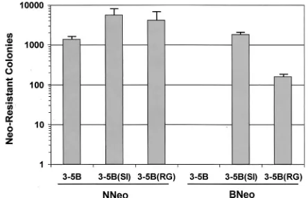 FIG. 5. Amino acid substitutions predicted to be present in theHCV nonstructural proteins expressed by replicons present in three