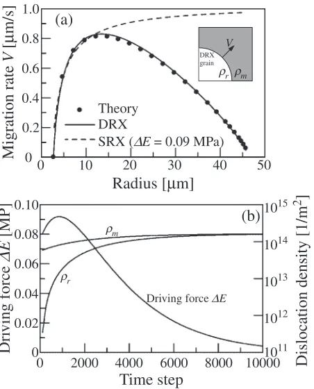 Fig. 2Variations in (a) migration rate of grain boundary and (b) drivingforce �E and dislocation densities in DRX grain �r and deformedmaterial �m.