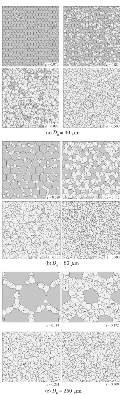 Fig. 4Variations in average grain size.