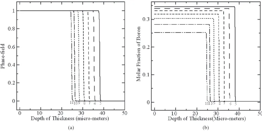 Fig. 4Numerical results that replicate 2 h boronizing process on ARMCO iron, (a) phase-ﬁeld proﬁle for case 1–5; (b) boronconcentration proﬁle for case 1–5.
