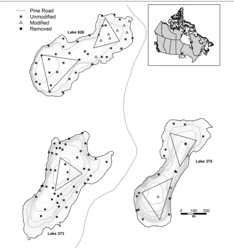 Fig. 1 Location of the three study lakes in relation to each other at the IISD Experimental Lakes Area (ELA) in north-western Ontario, Canada (inset)