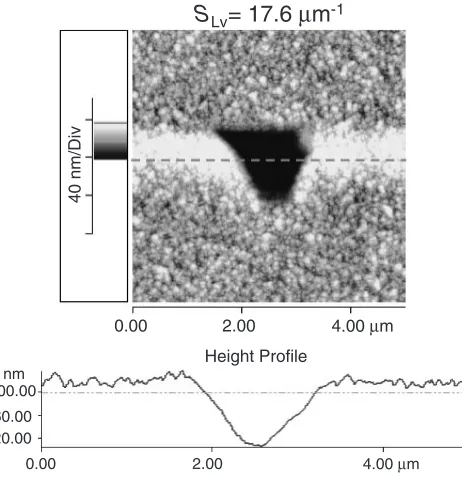 Fig. 5AFM topographic image of the multilayer ceramic (SLv ¼17:60 mm�1) indented with 30 mN of maximum load.