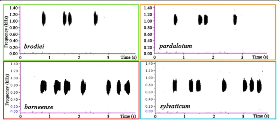 Fig. 2 Spectrograms of the vocalisation of each member of the Glaucidium brodiei species complex