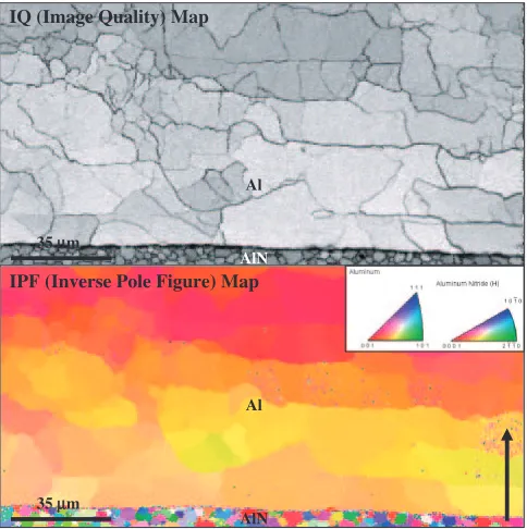 Fig. 2IPF map of Al/AlN interface before thermal cycle test. The arrow shows the direction to identify crystal-orientations of the Allayer.