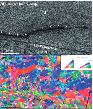 Fig. 8IQ map and IPF map of Al/AlN interface including a tip of the crack.