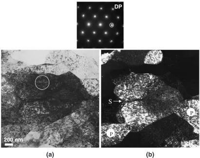 Fig. 10SEM-EsB image around the tip of a crack in the Al layer. Siparticles are observed in the Al matrix with a Z contrast.