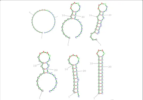 Figure 3 Ex1: Time evolution of the folding characteristic.